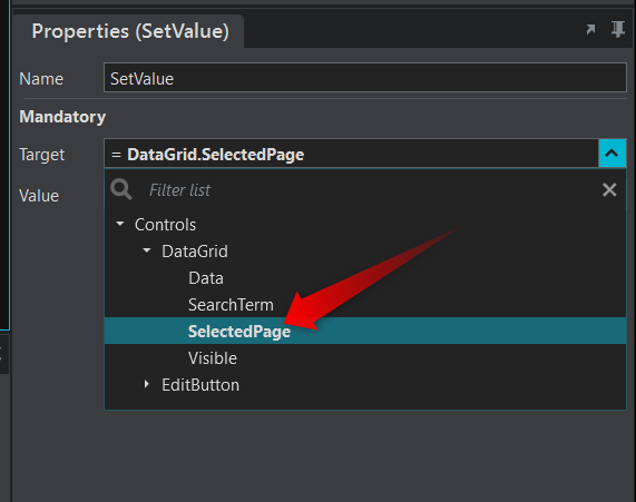 Set DataGrid page